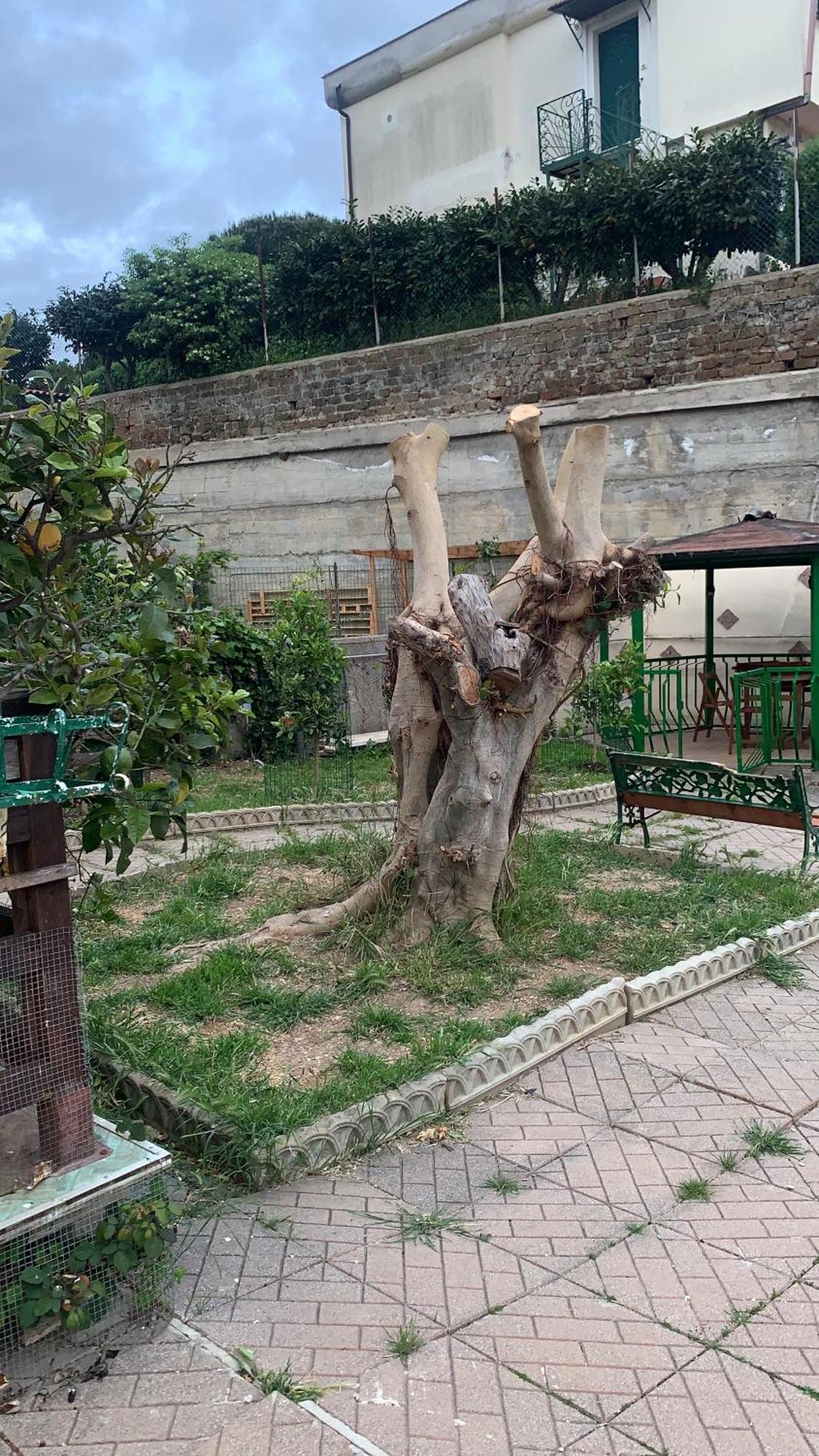 B&B Civitavecchia La Casetta Con Giardino Exterior foto